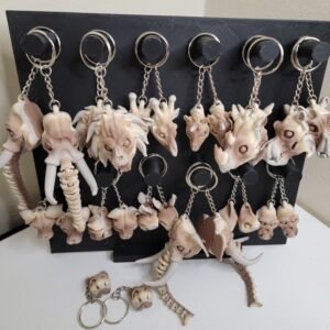 Animal Skulls (Assorted)