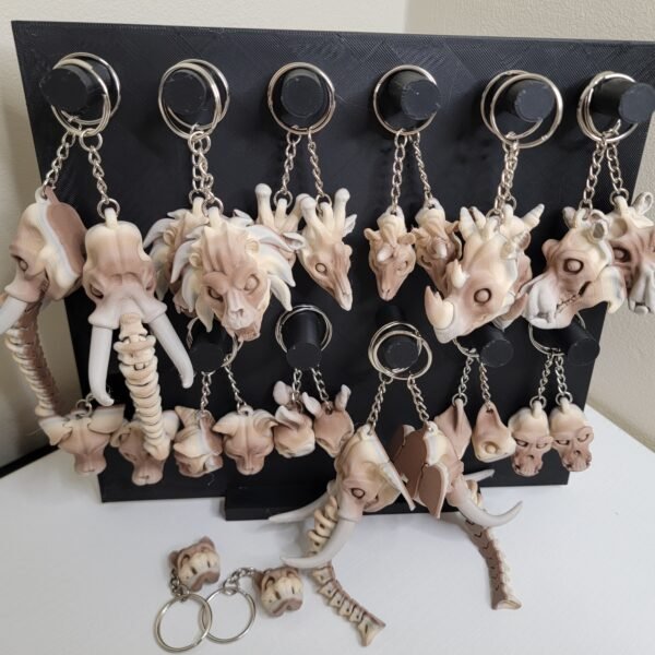 Animal Skulls (Assorted)
