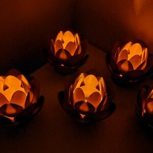 Lotus Lights